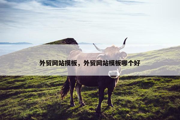 外贸网站摸板，外贸网站模板哪个好