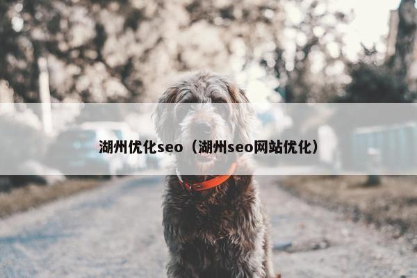 湖州优化seo（湖州seo网站优化）