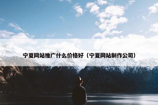 宁夏网站推广什么价格好（宁夏网站制作公司）