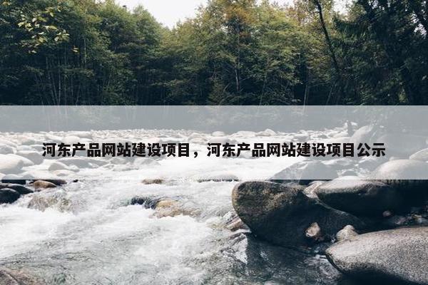 河东产品网站建设项目，河东产品网站建设项目公示
