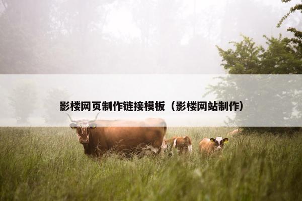 影楼网页制作链接模板（影楼网站制作）