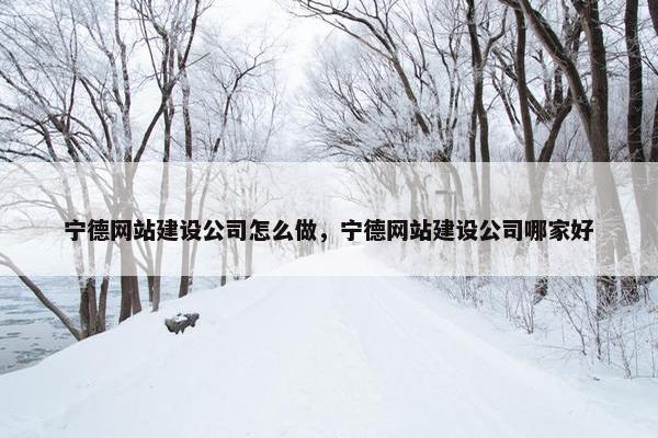 宁德网站建设公司怎么做，宁德网站建设公司哪家好