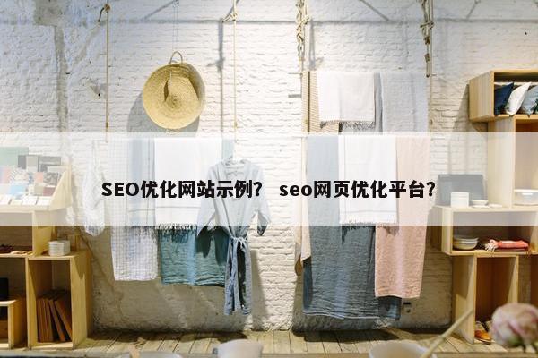 SEO优化网站示例？ seo网页优化平台？