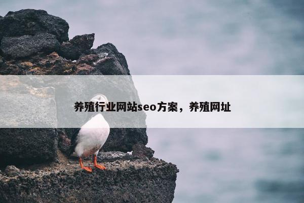 养殖行业网站seo方案，养殖网址