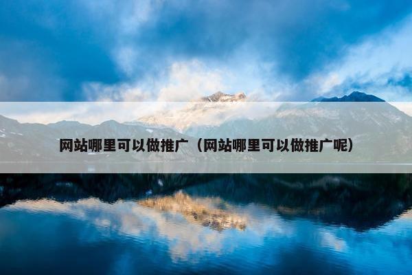 网站哪里可以做推广（网站哪里可以做推广呢）