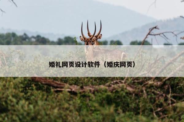 婚礼网页设计软件（婚庆网页）