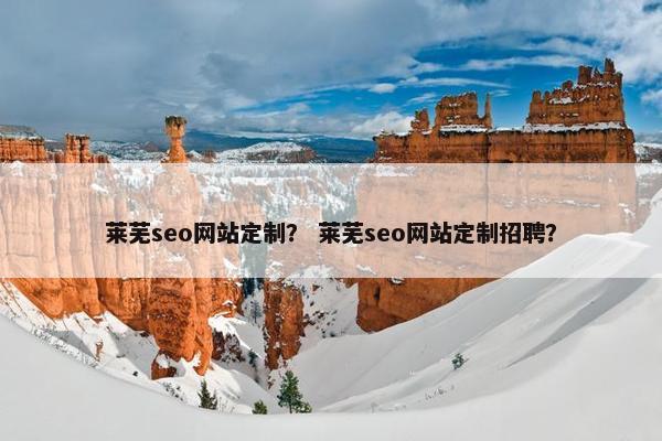莱芜seo网站定制？ 莱芜seo网站定制招聘？