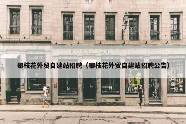 攀枝花外贸自建站招聘（攀枝花外贸自建站招聘公告）