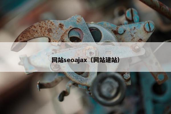 网站seoajax（网站建站）