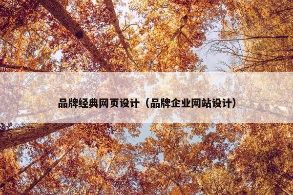 品牌经典网页设计（品牌企业网站设计）