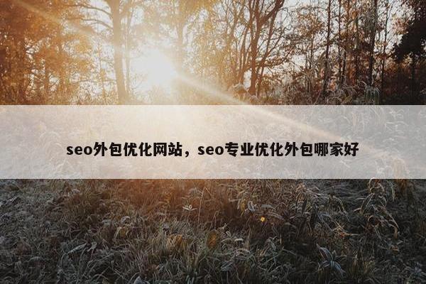seo外包优化网站，seo专业优化外包哪家好