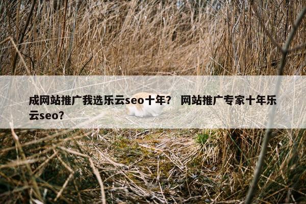 成网站推广我选乐云seo十年？ 网站推广专家十年乐云seo？