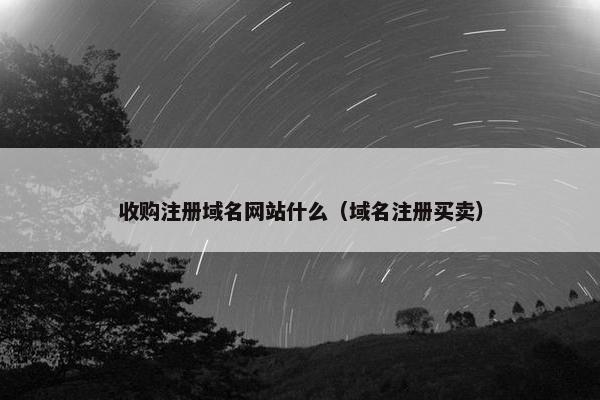 收购注册域名网站什么（域名注册买卖）