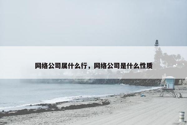 网络公司属什么行，网络公司是什么性质