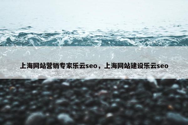 上海网站营销专家乐云seo，上海网站建设乐云seo