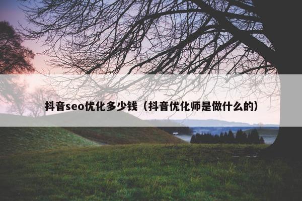 抖音seo优化多少钱（抖音优化师是做什么的）