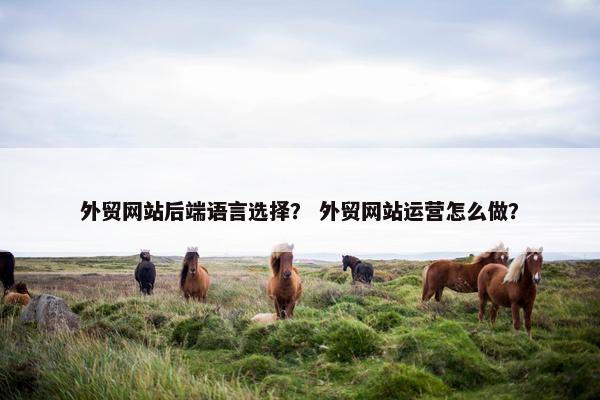 外贸网站后端语言选择？ 外贸网站运营怎么做？