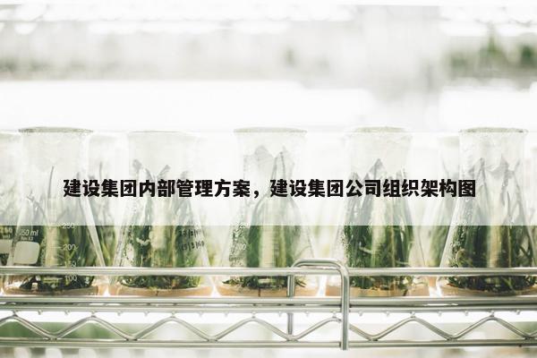 建设集团内部管理方案，建设集团公司组织架构图