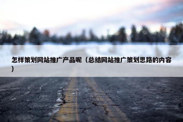 怎样策划网站推广产品呢（总结网站推广策划思路的内容）