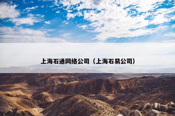 上海石通网络公司（上海石易公司）