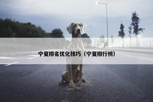 宁夏排名优化技巧（宁夏排行榜）