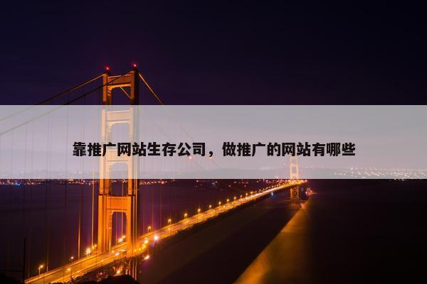 靠推广网站生存公司，做推广的网站有哪些