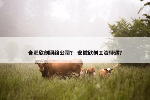 合肥欣创网络公司？ 安徽欣创工资待遇？