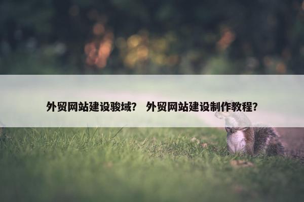 外贸网站建设骏域？ 外贸网站建设制作教程？