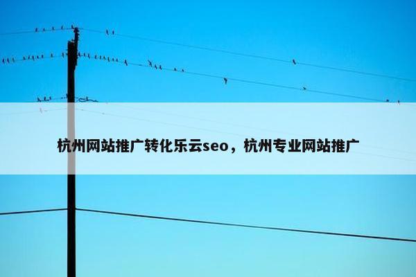 杭州网站推广转化乐云seo，杭州专业网站推广