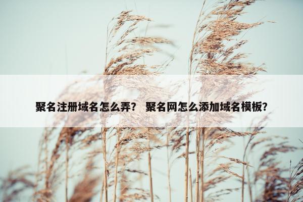 聚名注册域名怎么弄？ 聚名网怎么添加域名模板？