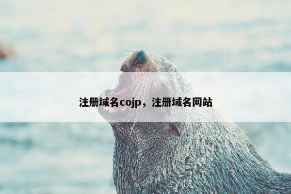 注册域名cojp，注册域名网站