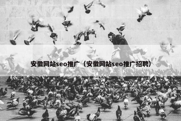 安徽网站seo推广（安徽网站seo推广招聘）