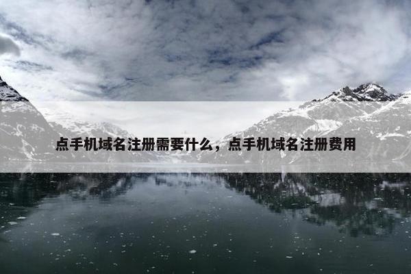 点手机域名注册需要什么，点手机域名注册费用