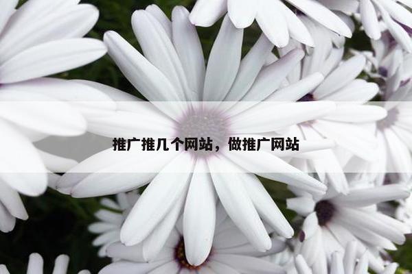 推广推几个网站，做推广网站