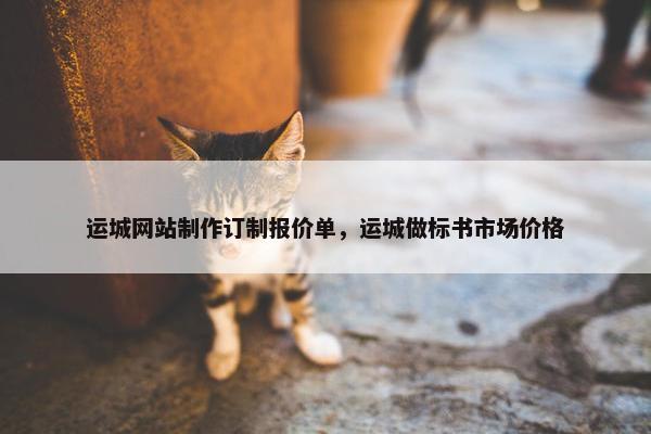 运城网站制作订制报价单，运城做标书市场价格