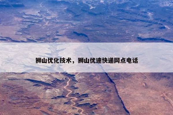 狮山优化技术，狮山优速快递网点电话