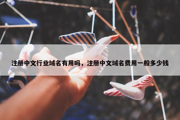 注册中文行业域名有用吗，注册中文域名费用一般多少钱