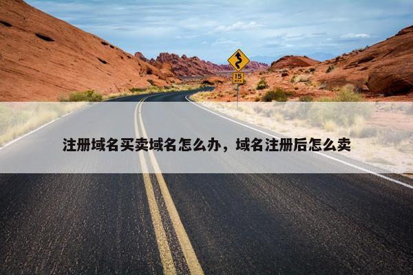 注册域名买卖域名怎么办，域名注册后怎么卖
