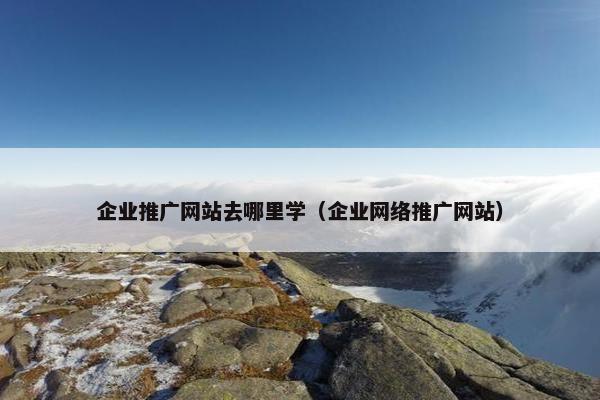 企业推广网站去哪里学（企业网络推广网站）