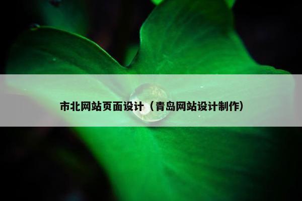 市北网站页面设计（青岛网站设计制作）