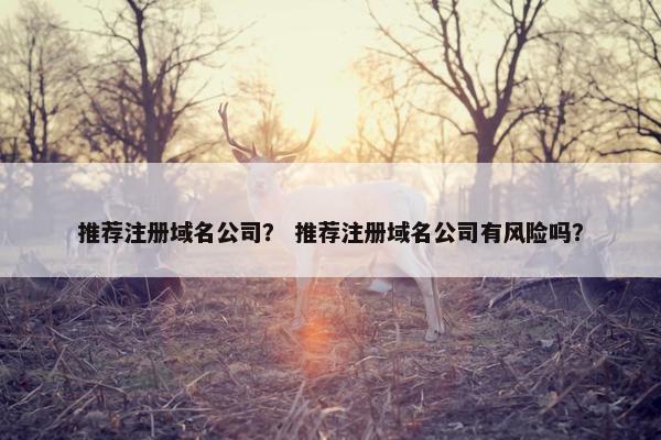 推荐注册域名公司？ 推荐注册域名公司有风险吗？