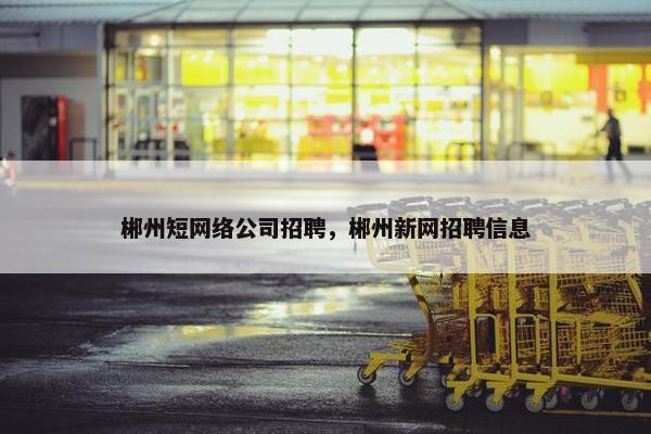 郴州短网络公司招聘，郴州新网招聘信息