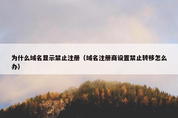 为什么域名显示禁止注册（域名注册商设置禁止转移怎么办）