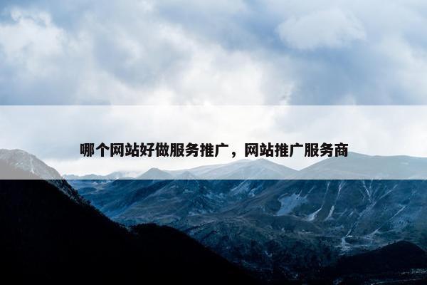 哪个网站好做服务推广，网站推广服务商