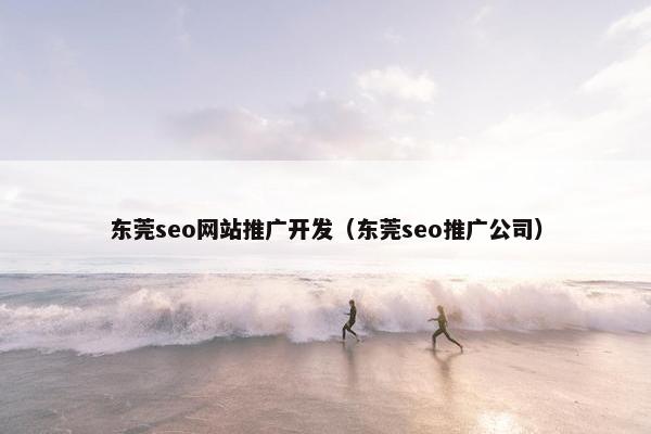 东莞seo网站推广开发（东莞seo推广公司）