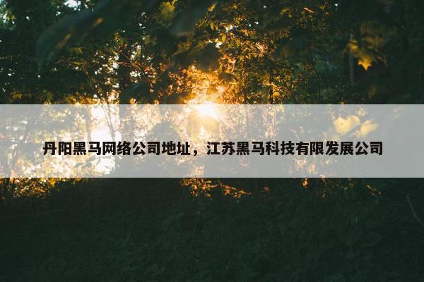 丹阳黑马网络公司地址，江苏黑马科技有限发展公司