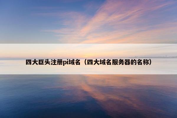 四大巨头注册pi域名（四大域名服务器的名称）