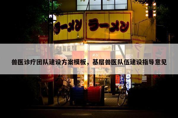 兽医诊疗团队建设方案模板，基层兽医队伍建设指导意见