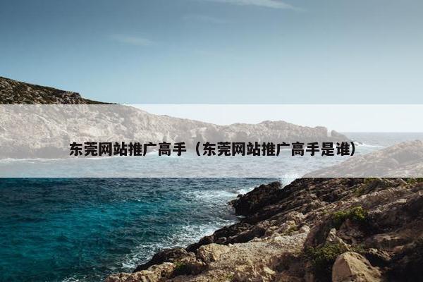 东莞网站推广高手（东莞网站推广高手是谁）