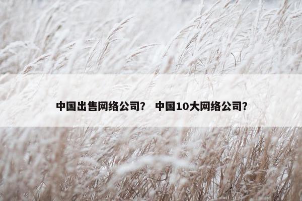 中国出售网络公司？ 中国10大网络公司？